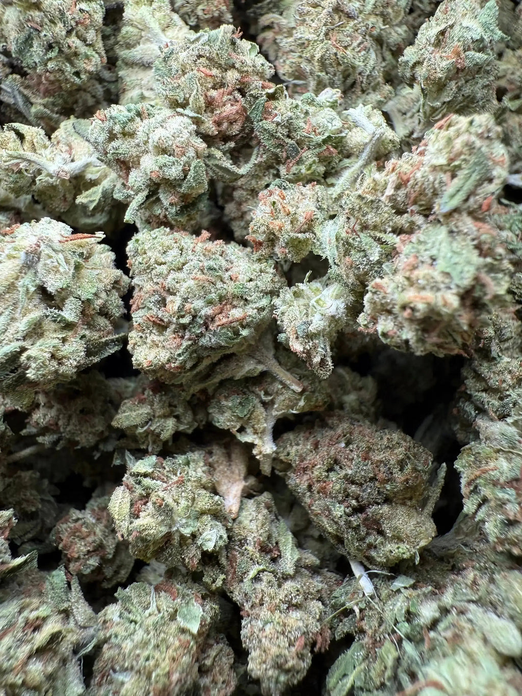 1/4 Pound Black Bananas THCA (Small)