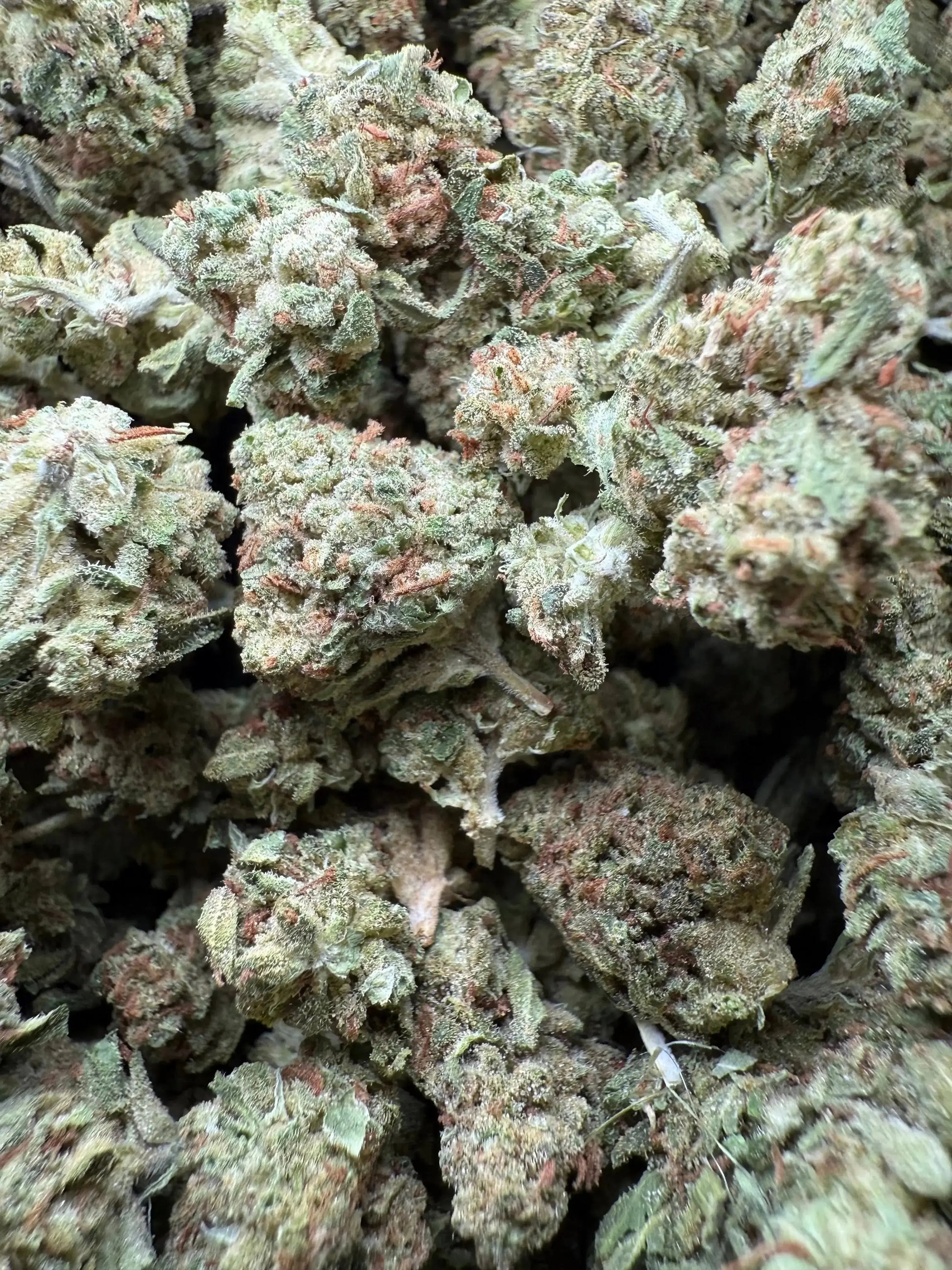 1/4 Pound Black Bananas THCA (Small)