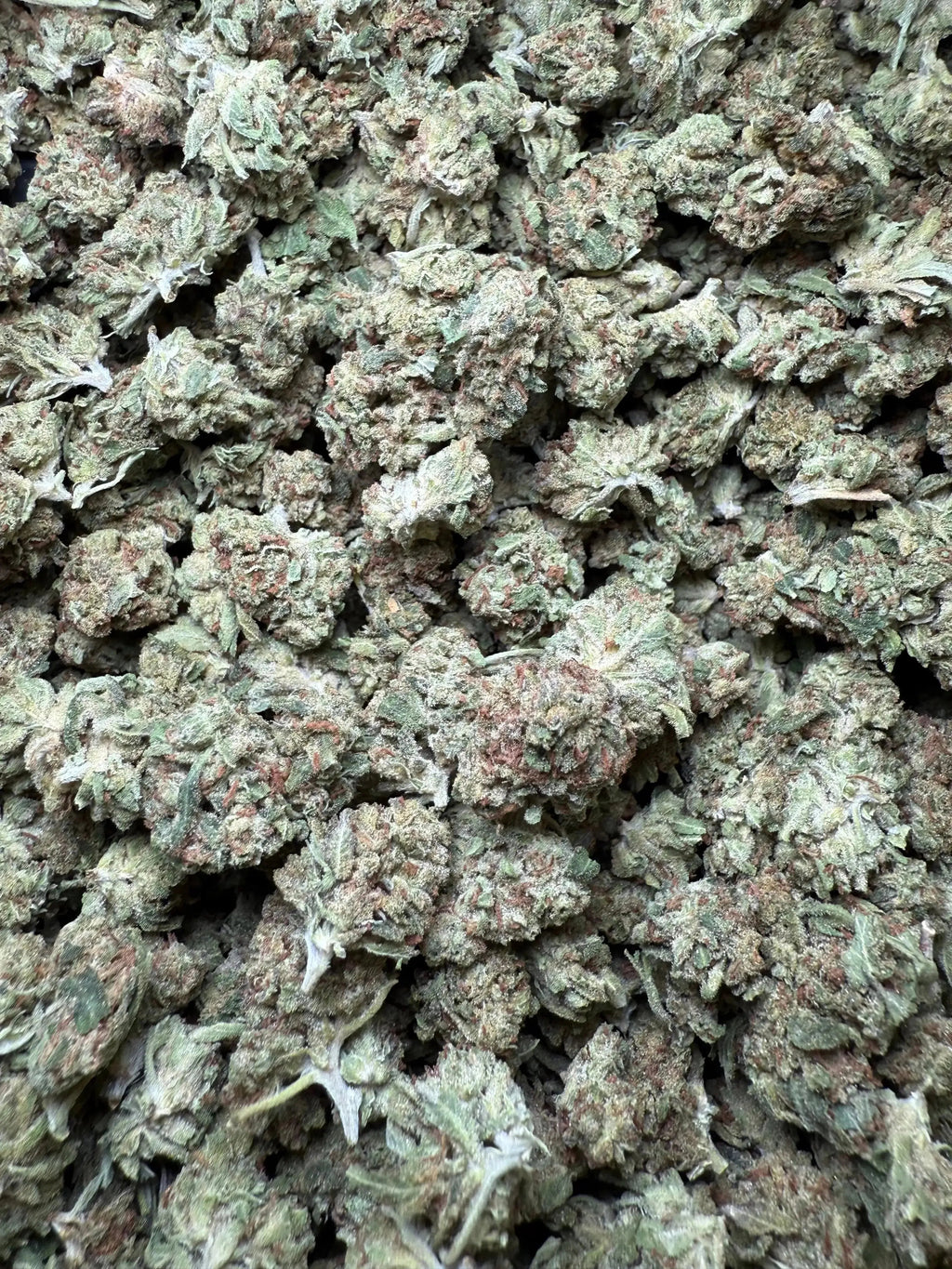 1/4 Pound Black Bananas THCA (Small)