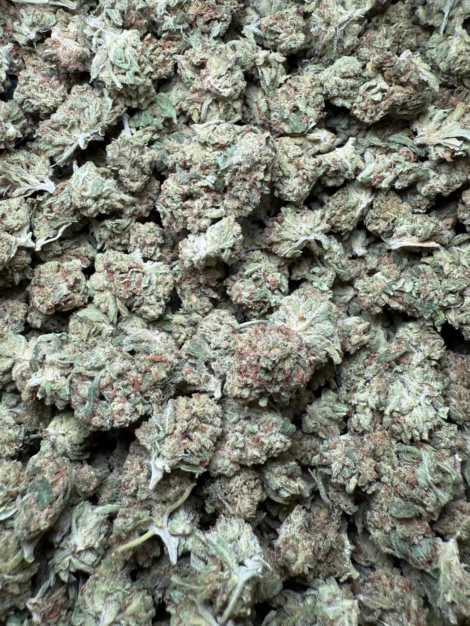 1/4 Pound Black Bananas THCA (Small)