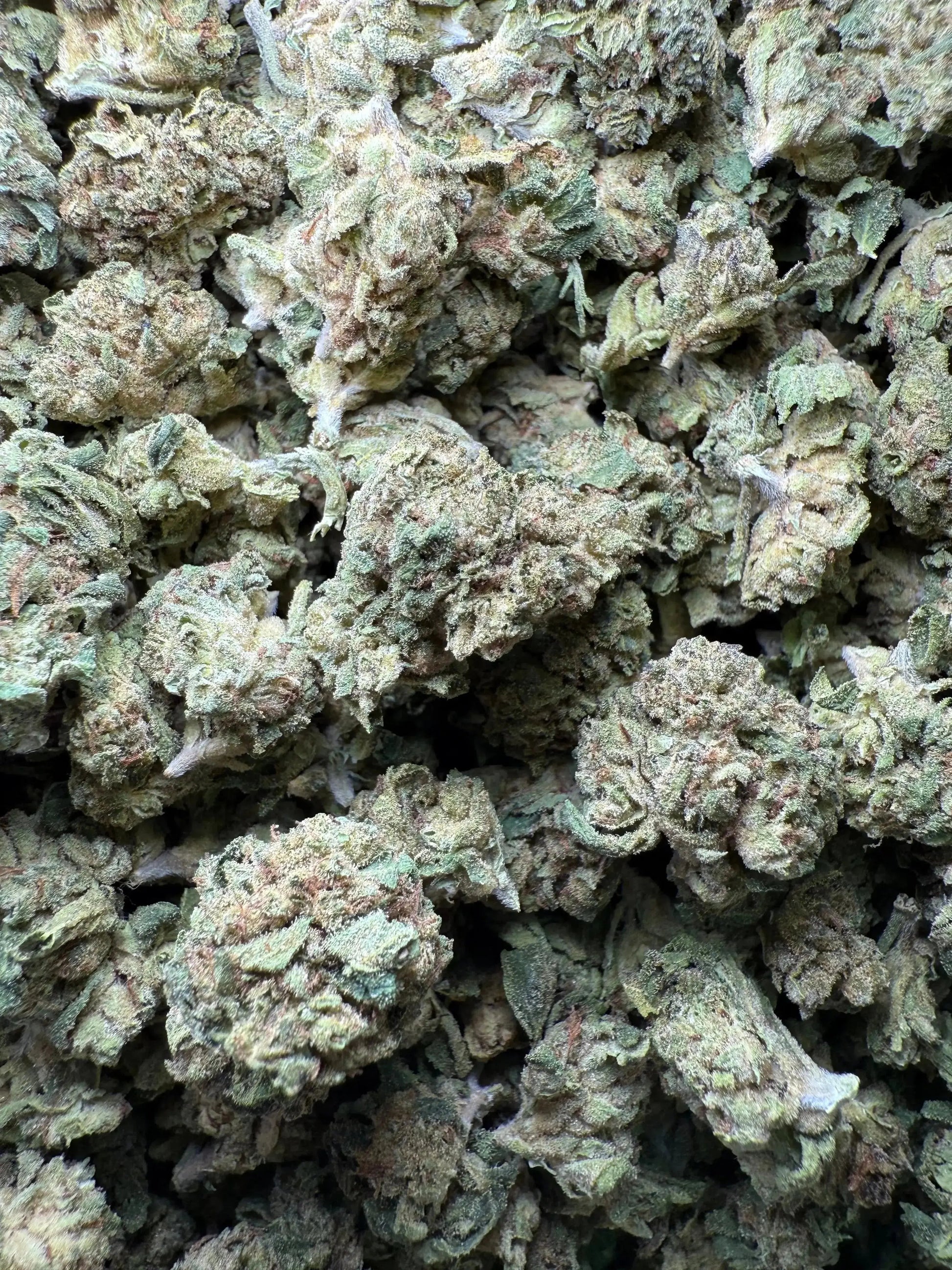 1/4 Pound Lemon Curd THCA (Smalls)