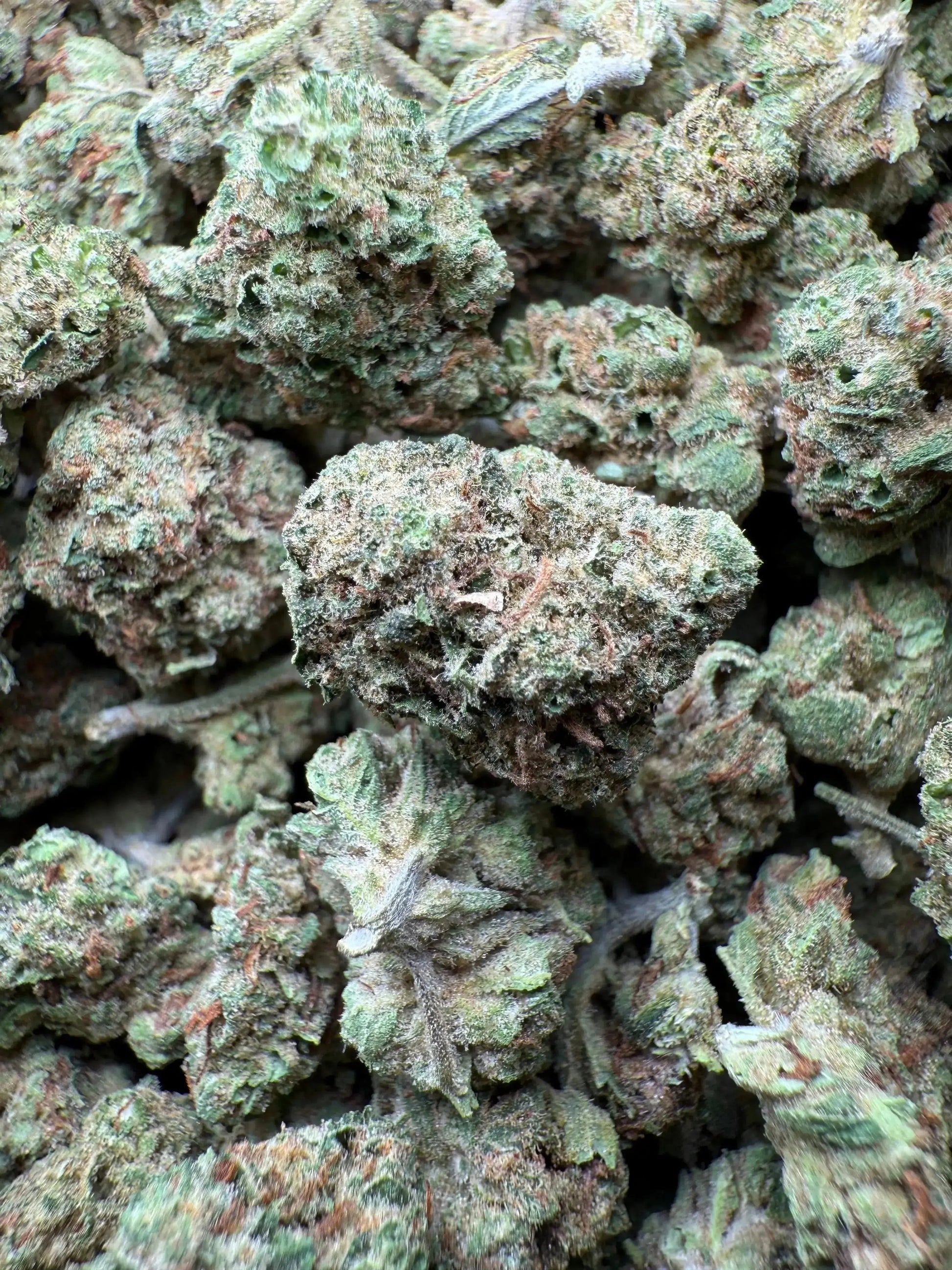 1/4 Pound Romulan Blueberry THCA (Small)