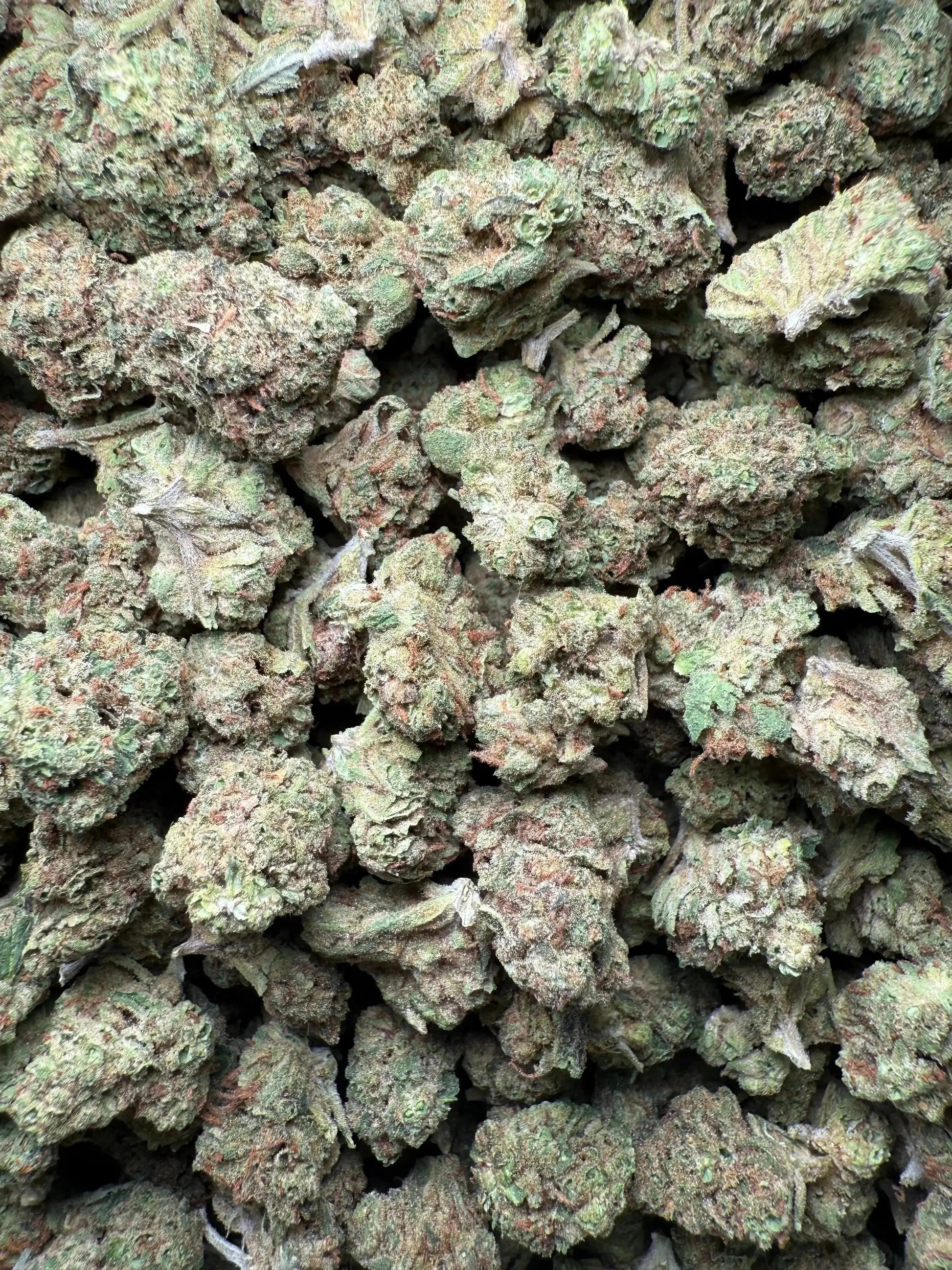 1/4 Pound Romulan Blueberry THCA (Small)