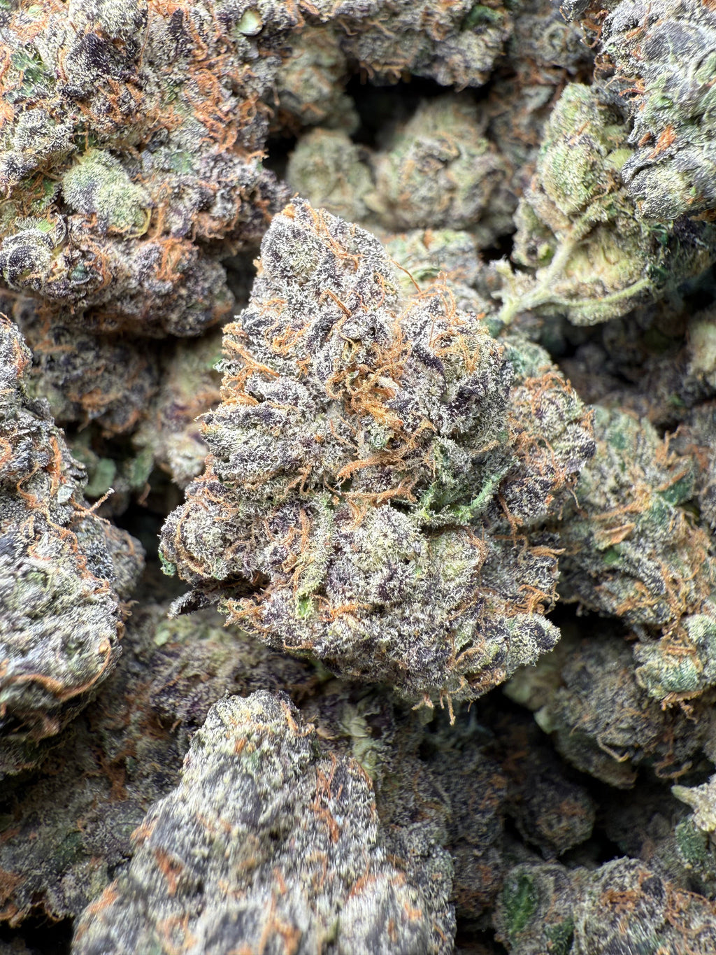 1 Pound - AAA Purple Pineapple Sherbet THCA Strain