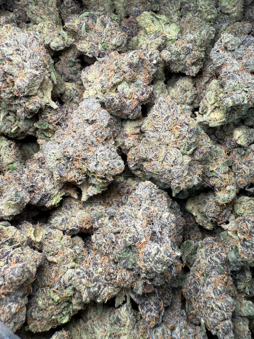 1 Pound - AAA Purple Pineapple Sherbet THCA Strain