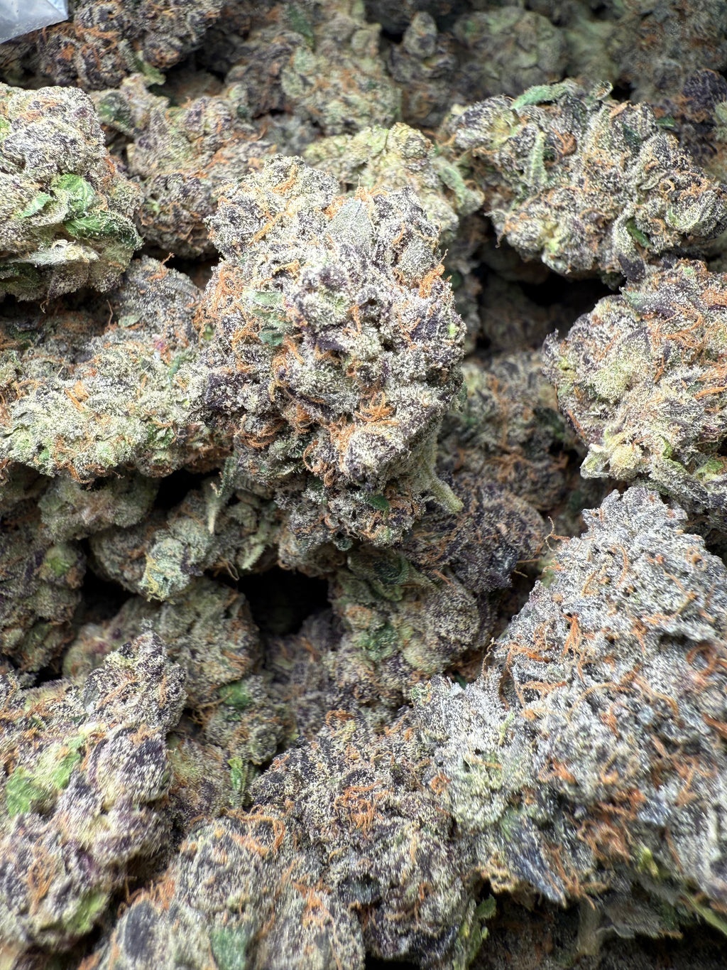 1 Pound - AAA Purple Pineapple Sherbet THCA Strain