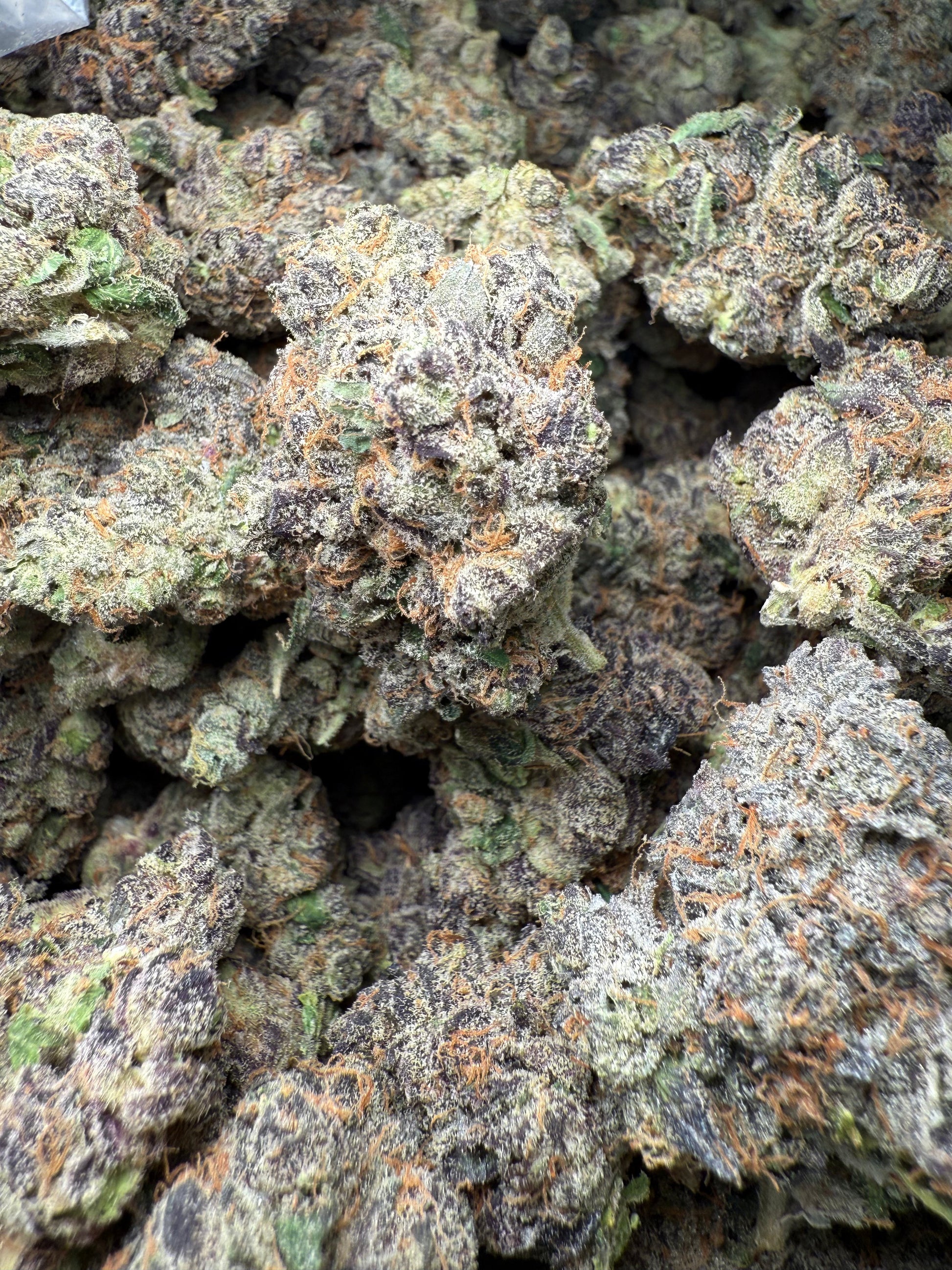 1 Pound - AAA Purple Pineapple Sherbet THCA Strain