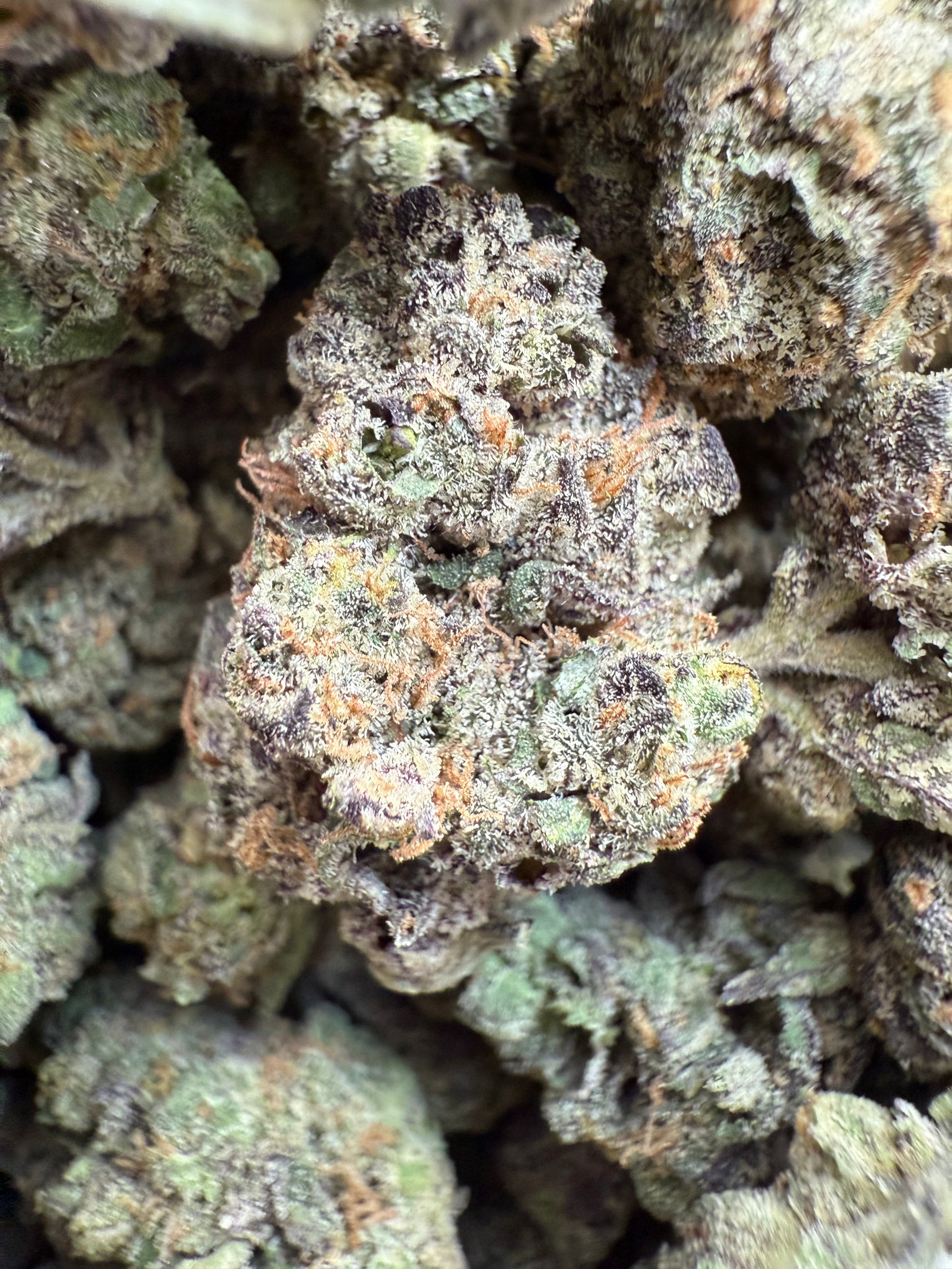 1 Pound - AAA Purple Pineapple Sherbet THCA Strain