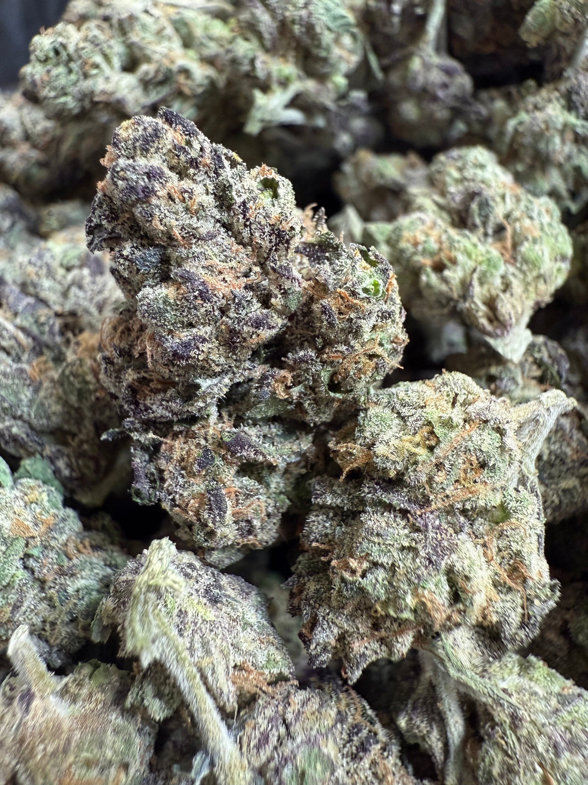 1 Pound - AAA Purple Pineapple Sherbet THCA Strain