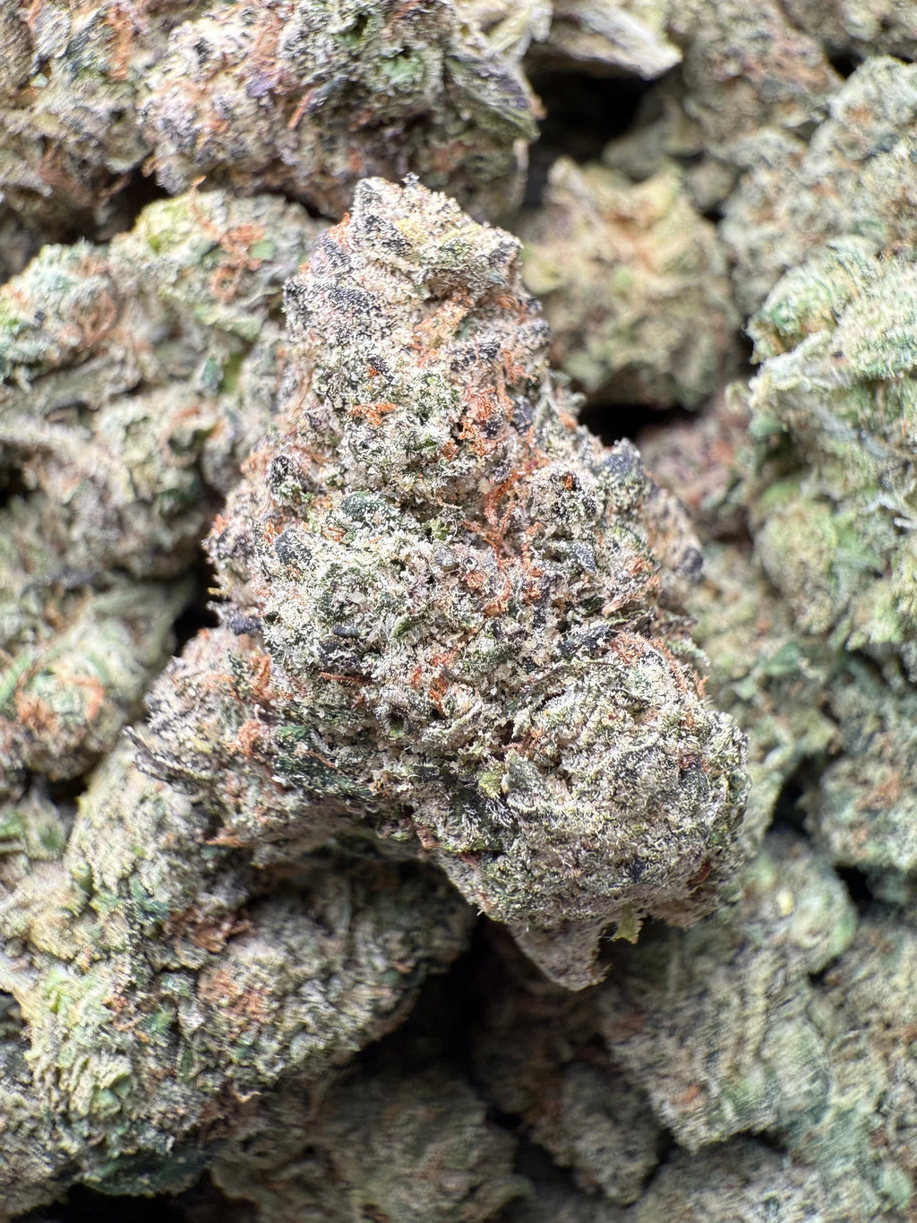 1 Pound – AAA Smarties | Indoor Exotic THCA Flower | Gas Candy THCA