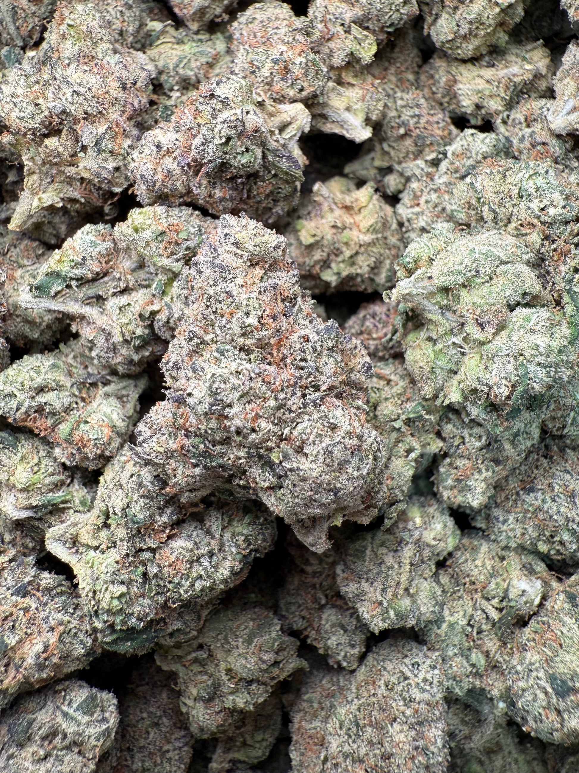 1 Pound – AAA Smarties | Indoor Exotic THCA Flower | Gas Candy THCA