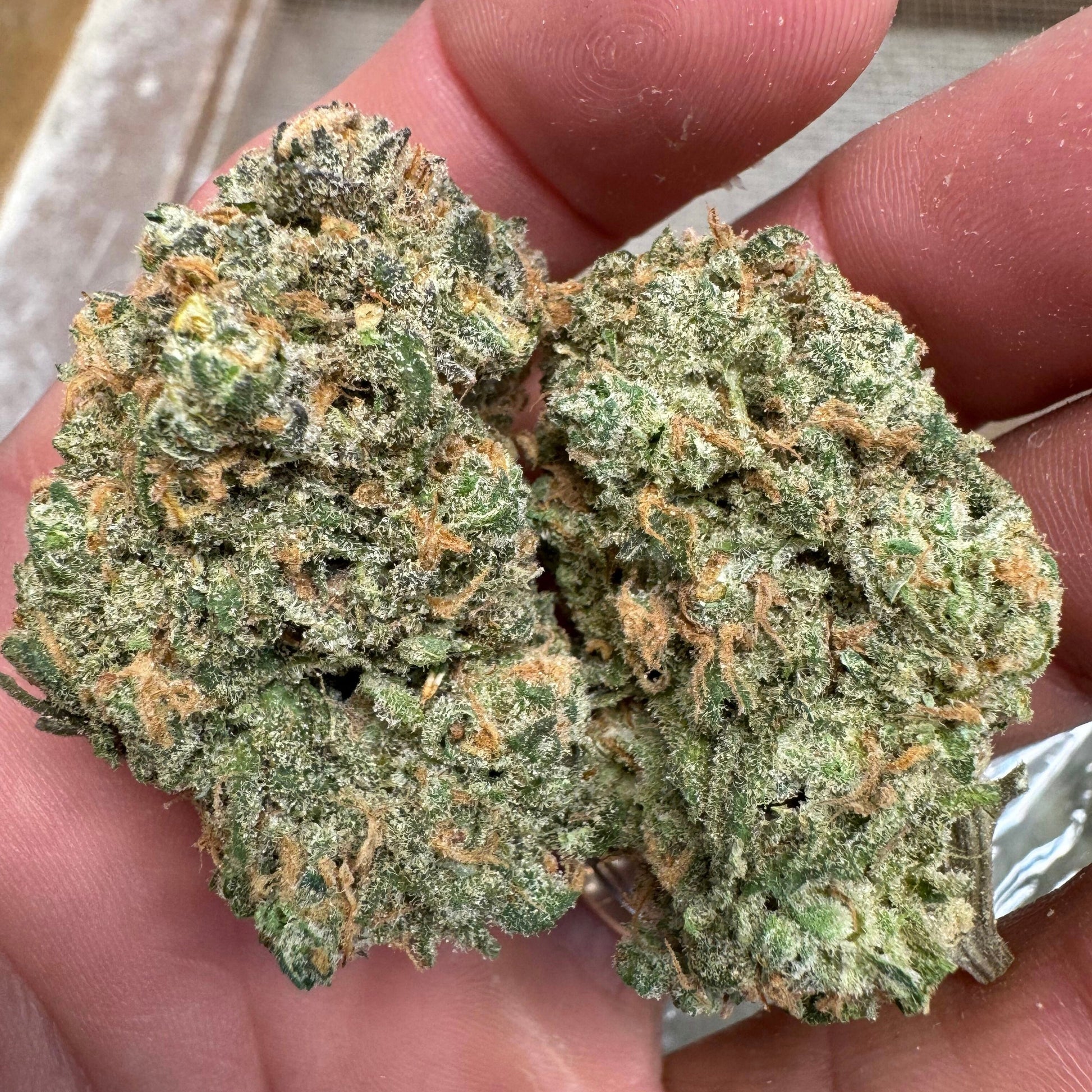 5PK • Blue Dream THCa Pre Roll