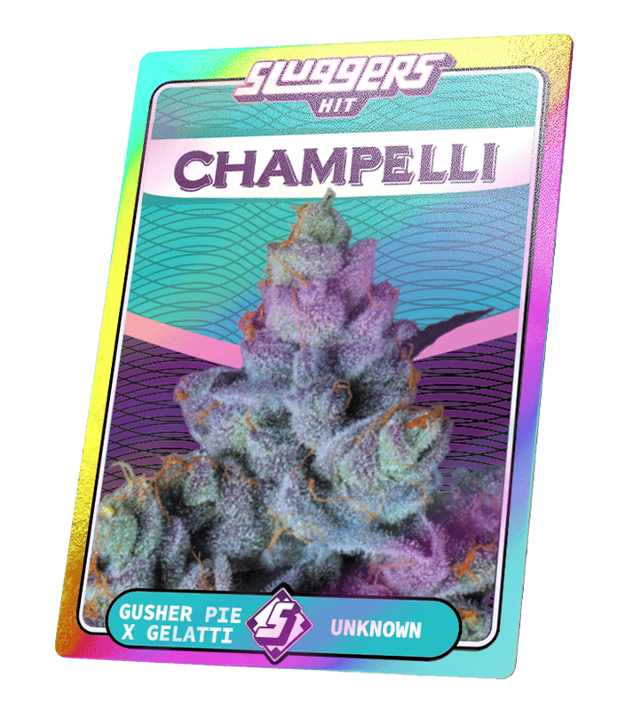 Sluggers Hit - Juiced - Champelli Cassis - Pre-Roll
