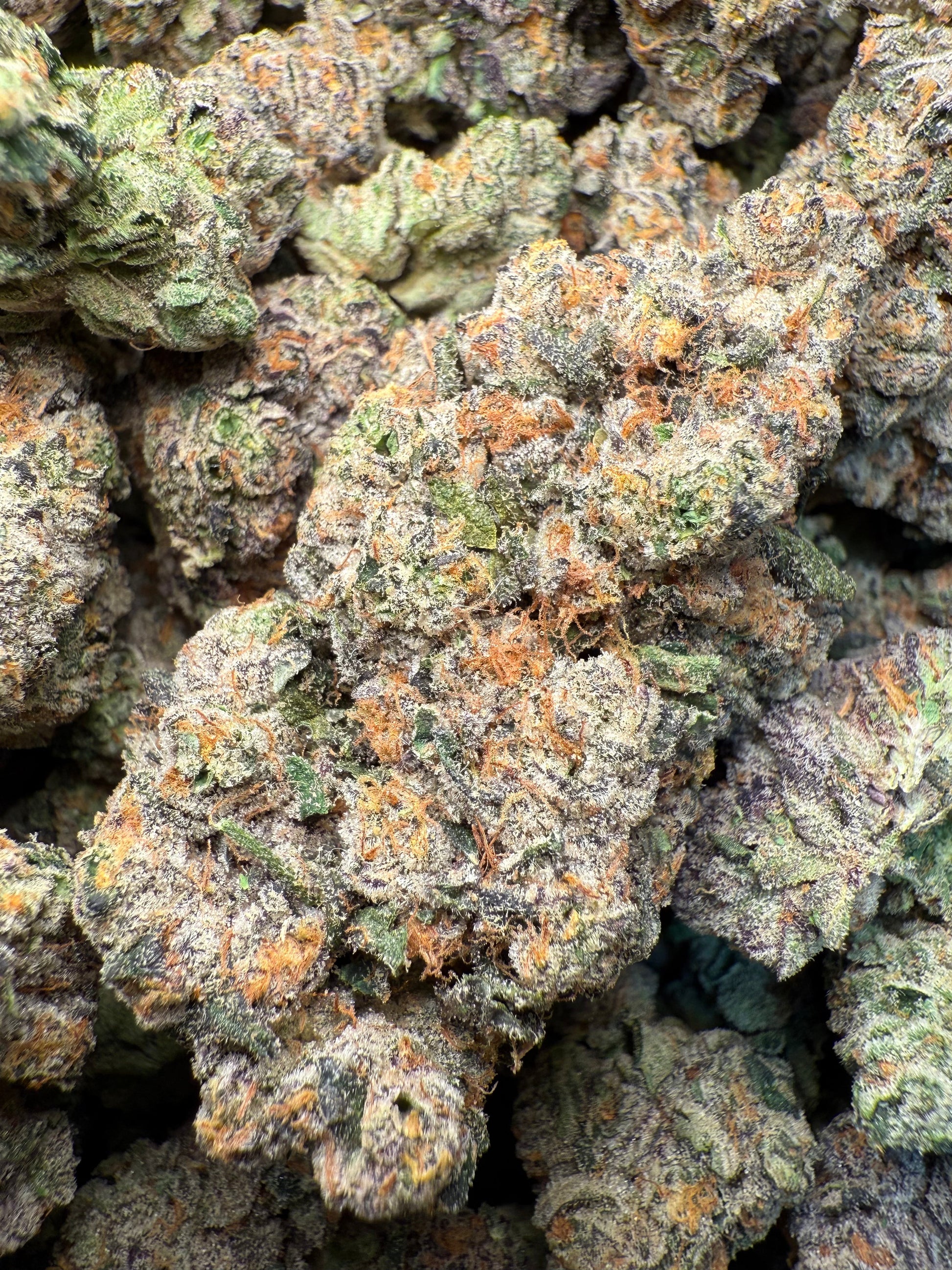 1 Pound – AAA Gas Face | Indoor THCA Flower | Loud & Gassy