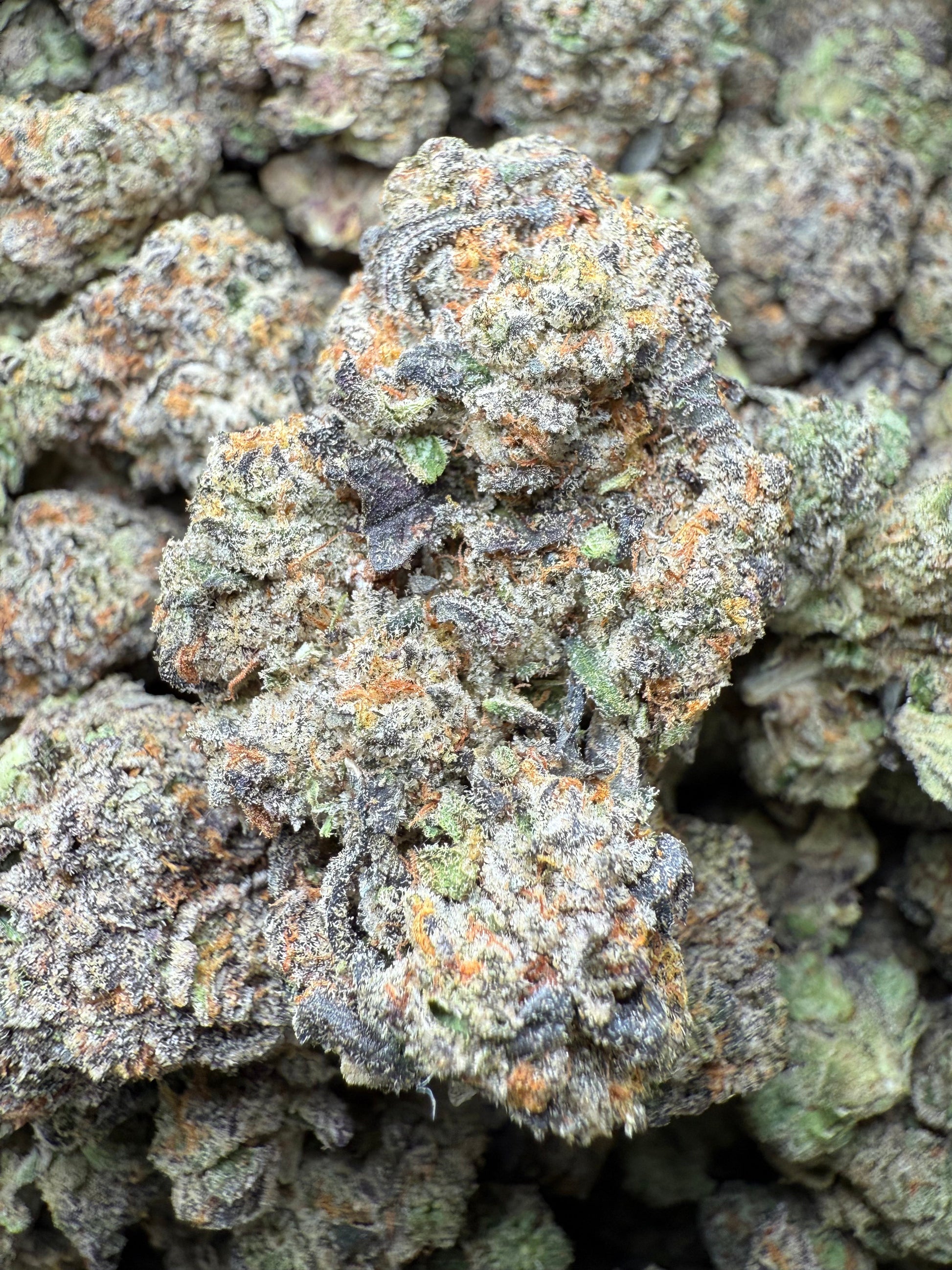 🔥 AAA Gas Face – Indoor Exotic THCA Flower (½ oz / 14g)