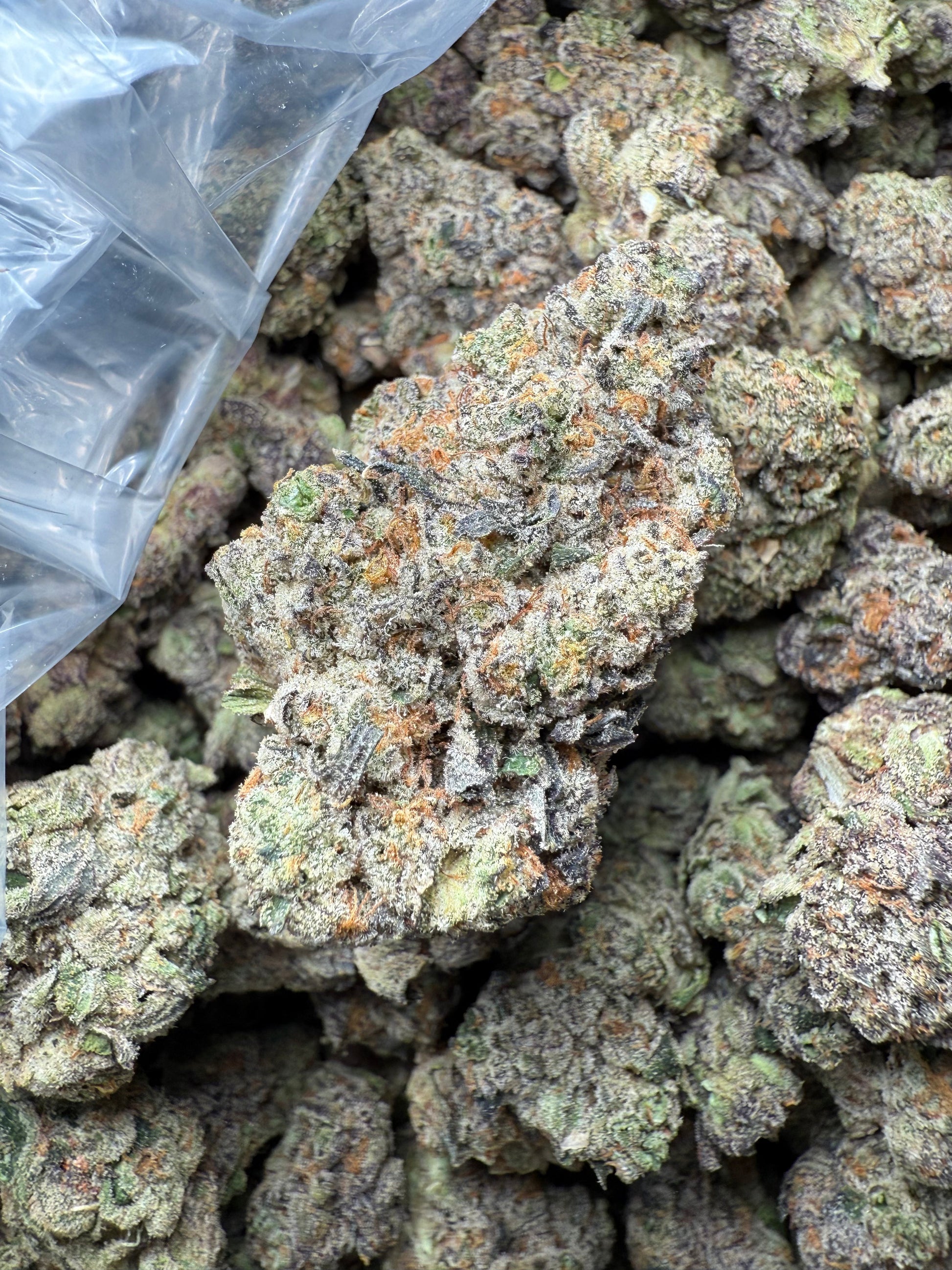 🔥 AAA Gas Face – Indoor Exotic THCA Flower (½ oz / 14g)