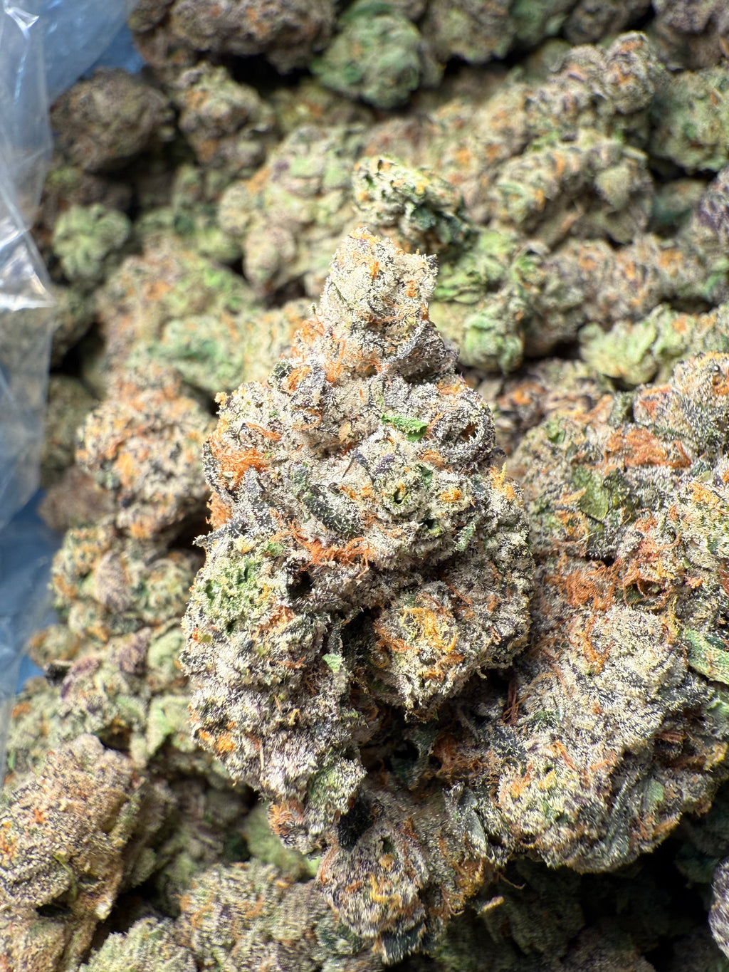 1 Pound – AAA Gas Face | Indoor THCA Flower | Loud & Gassy